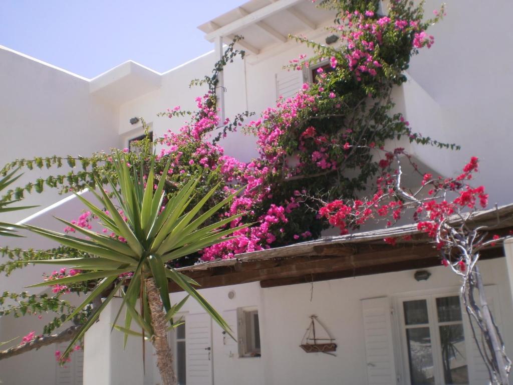 Paros Rita Studios Piso Livadi Exteriör bild