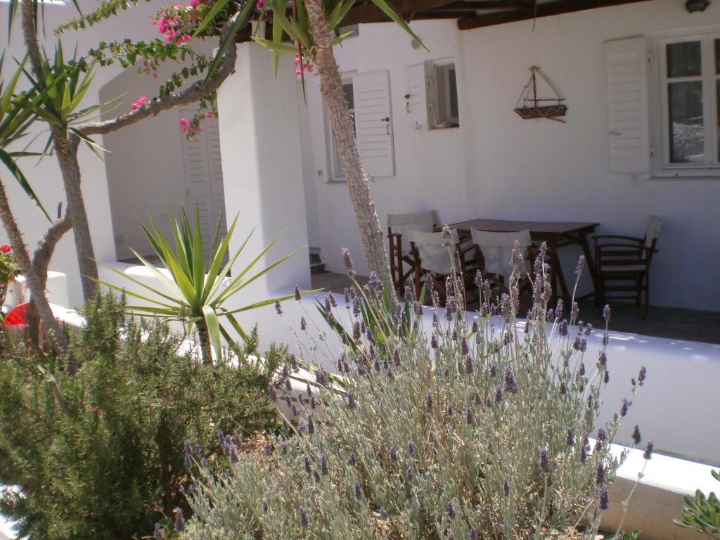 Paros Rita Studios Piso Livadi Exteriör bild